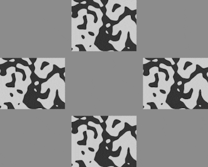 Así fue el patrón que se presentó a los ratones y que luego recrearon en sus mentes mientras estaban en momentos de vigilia