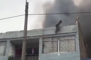 Se trepó a un balcón y arriesgó su vida para salvar a 25 perros de un incendio