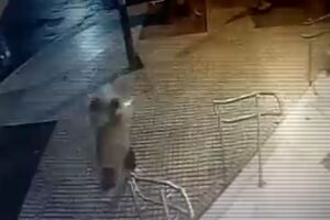 Las impactantes imágenes de la balacera contra un banco en Rosario en la que dejaron una amenaza a un candidato