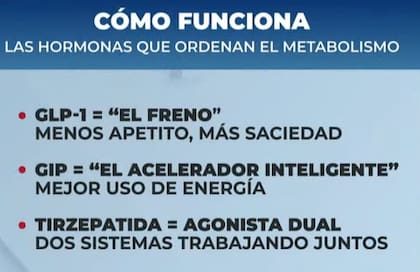 Así funciona el Tirzepatida en el metabolismo