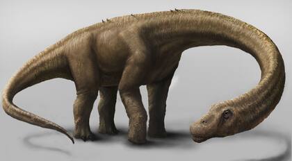 Así habría sido el "Dreadnoughtus"