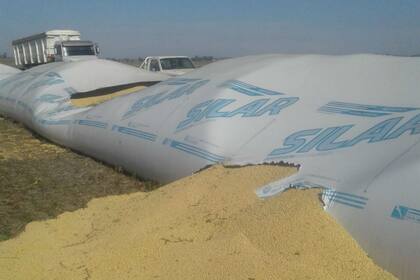 La denuncia de los diputados apunta a conocer el origen de los hechos