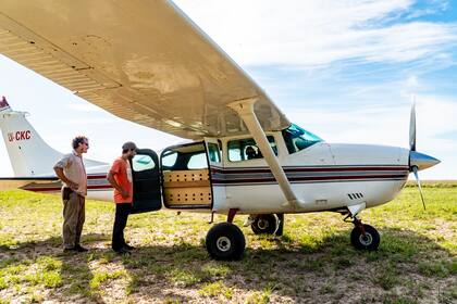 Así llegó Ariranha a Argentina