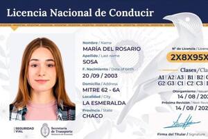 Tucumán adhirió a la Licencia de Conducir Digital y la renovación será online - Image 3