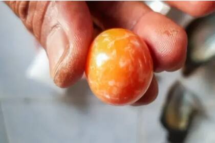 Así luce la perla naranja hallada por Hatchai Niyomdecha