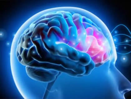 Así puede cuidar su cerebro.