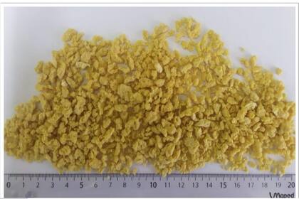 Así queda la proteína vegetal texturizada de arveja amarilla