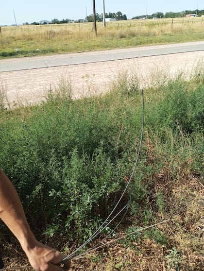Así quedó el alambre de su campo