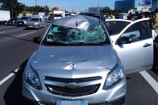 Un ladrón que escapaba tras robar cruzó la autopista a pie, fue atropellado por un auto y murió en el acto