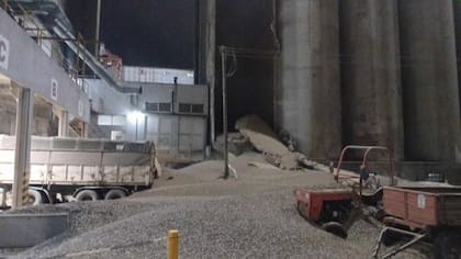Así quedó el cultivo que estaba en el interior del silo