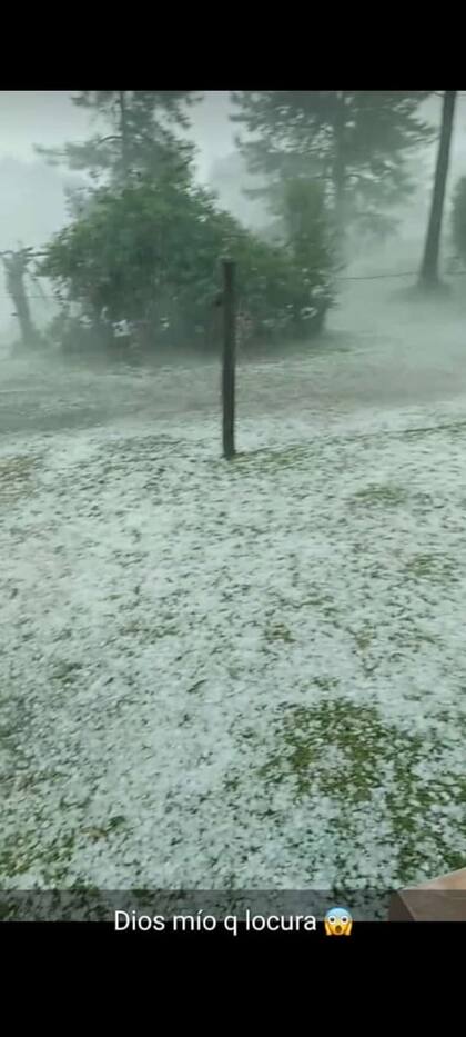 Así quedó el jardín de una chacra en la zona de la ruta 13, kilómetro 15 antes de llegar a El Soberbio.