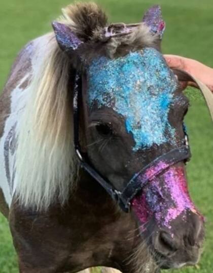 Así quedó el pony con el maquillaje que le colocó Delfina Blaquier