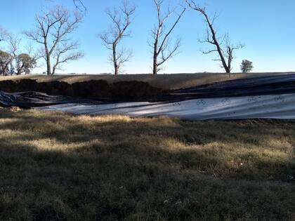 Así quedó el silo de maíz picado
