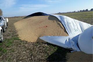 Ataques, denuncias y declaraciones insólitas