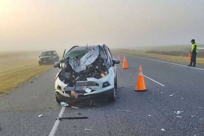 Así quedó el vehículo que embistió al animal suelto - Fuente: Twitter