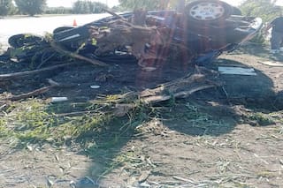 Choco contra un árbol y el tronco quedó incrustado dentro del auto