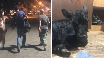 Así rescataban a Save la noche del 16 de diciembre