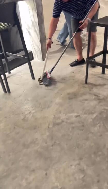 Así retiraron a la serpiente