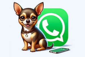 Así se activa el "modo chihuahua" de WhatsApp, paso a paso