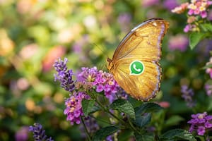 Cómo activar el “modo mariposa dorada” en WhatsApp