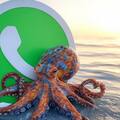 Cómo activar el “modo pulpo” en WhatsApp