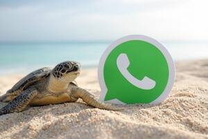 Así se activa el "modo tortuga" de WhatsApp, paso a paso