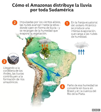 Así se distribuye la lluvia en Sudamérica