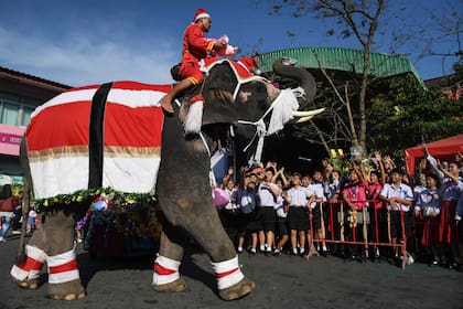 Vestido como Papá Noel, un elefante participa de las celebraciones de Navidad en Ayutthaya, Tailandia
