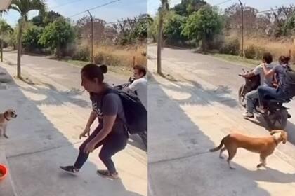 Así se llevaban la comida los ladrones