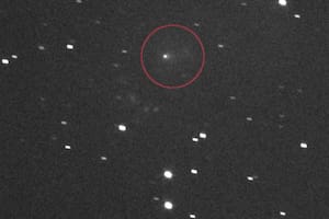 Así se observa el cometa en el cielo nocturno