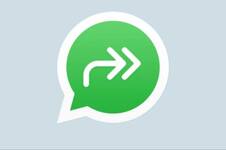 Qué es la doble flecha de WhatsApp que aparece en algunos chats
