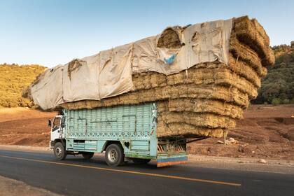 Así se transportan los fardos en Marruecos.