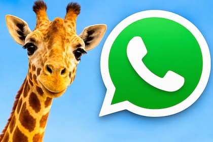 Así se ve el "modo jirafa amarilla" de WhatsApp