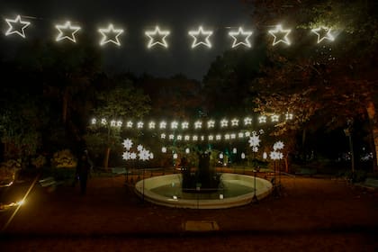 Así se ve la "experiencia lumínica" de "Secret Garden" en el Jardín Botánico; también es sonora