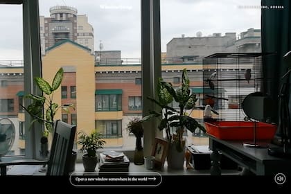 Así se ve San Petersburgo desde una de las ventanas de Window Swap