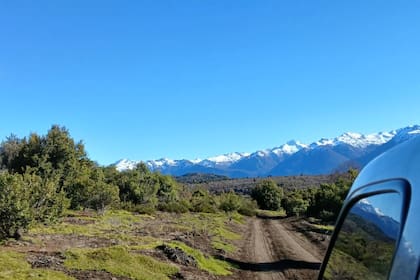 Así se veía el campo antes del incendio, con la montaña nevada de fondo