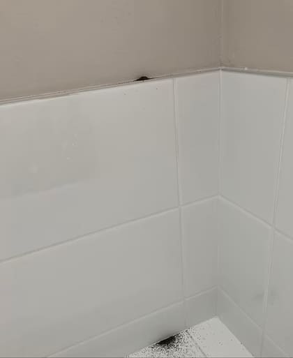 Así se veía el polvo en los diferentes rincones del baño
