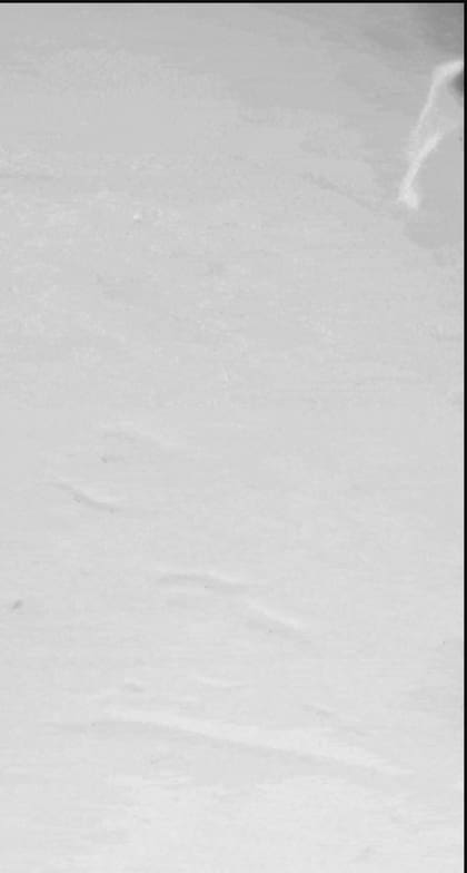 Así se veía la tela en el helicóptero Ingenuity de Marte