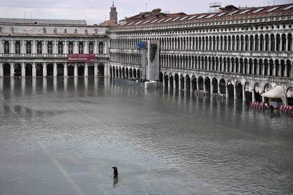 Se activó el sistema de diques móviles artificiales para impedir las inundaciones