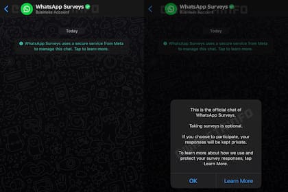 Así se verá el chat de las encuestas en WhatsApp