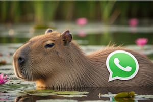 Así se vería el "modo capibara"