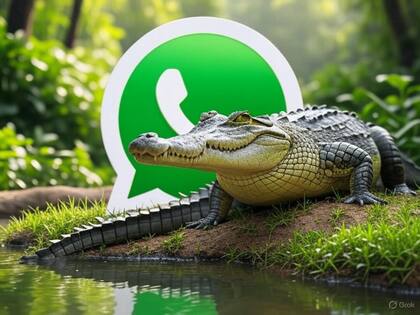 Así se vería el "modo cocodrilo verde" en WhatsApp