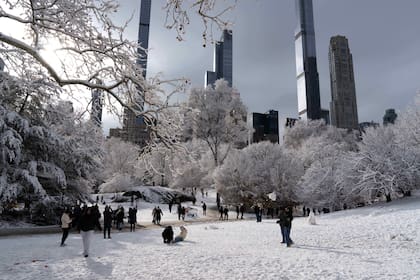 Así se vistió de blanco el Central Park tras la nevada del 14 de diciembre