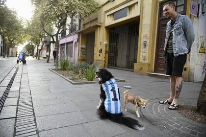 Un perro con la camiseta de la Selección en las calles de Rosario