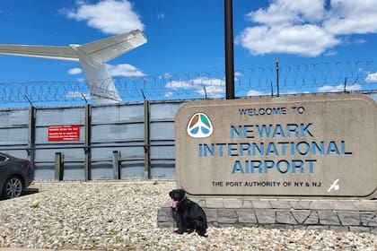 Así será la afluencia de vuelos en la terminal aérea de Nueva Jersey