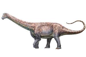 Confirman existencia de dinosaurio que habitó Chile llamado Arackar licanantay