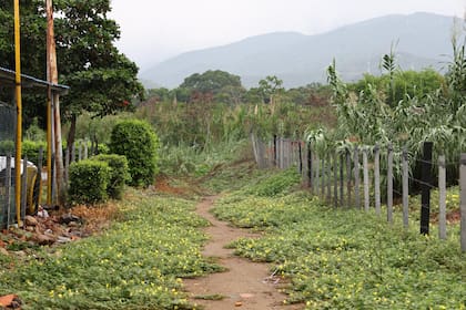 Así son los caminos de ingreso a los senderos controlados por el ELN.