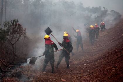 Así trabajan los bomberos en el Amazonas