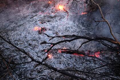 Restos del incendio que está destruyendo la jungla