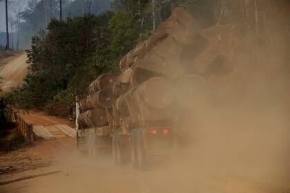 Un camión cargado de troncos cortados de la selva amazónica atraviesa una zona afectada 